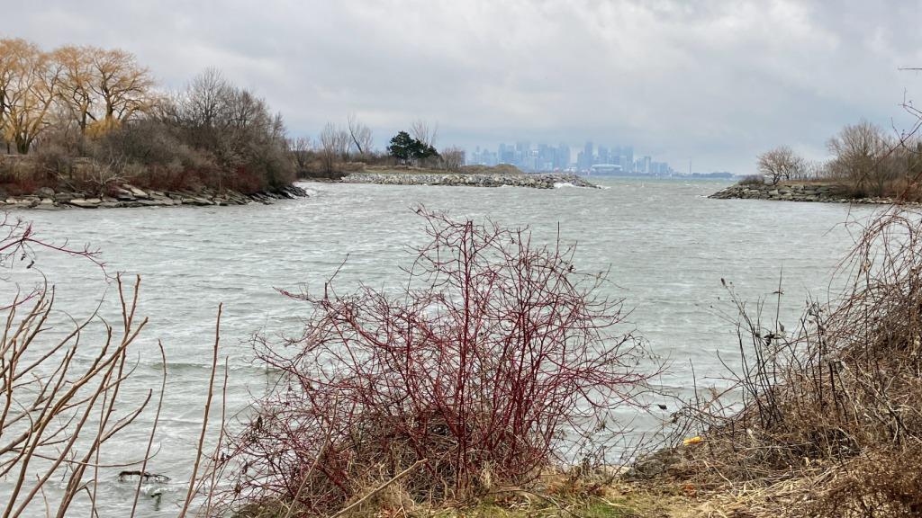 Downtown Toronto in the distance, as the snow moves in, from the mouth of Mimico Creek between Humber Bay Parks East and West