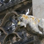 The 15th c. Gothic cloister in the Monastery of Batalha, a UNESCO World Heritage Site, features some interesting gargoyles, including this ... dog?