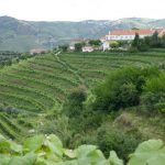 The terraced vineyard at Quinta (farm, estate) Santa Eufémia in the Douro Valley. Hundreds of years of work on the land has created these terraces, which make the Douro winemaking region a World Heritage Site.