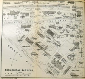 London Zoological Gardens, 1908